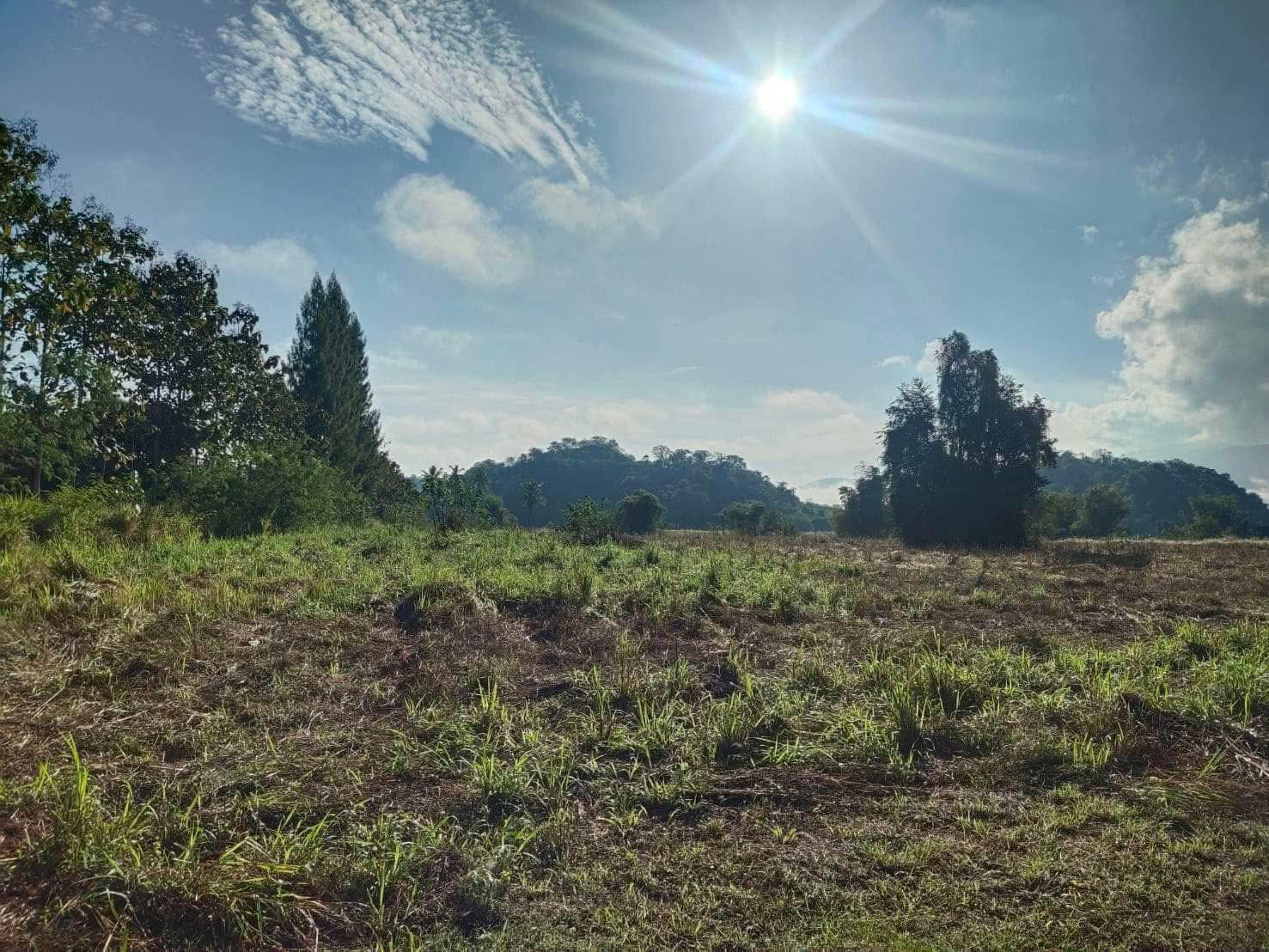 Land for Sale in Khao Yai, Pak Chong, Mu Si,