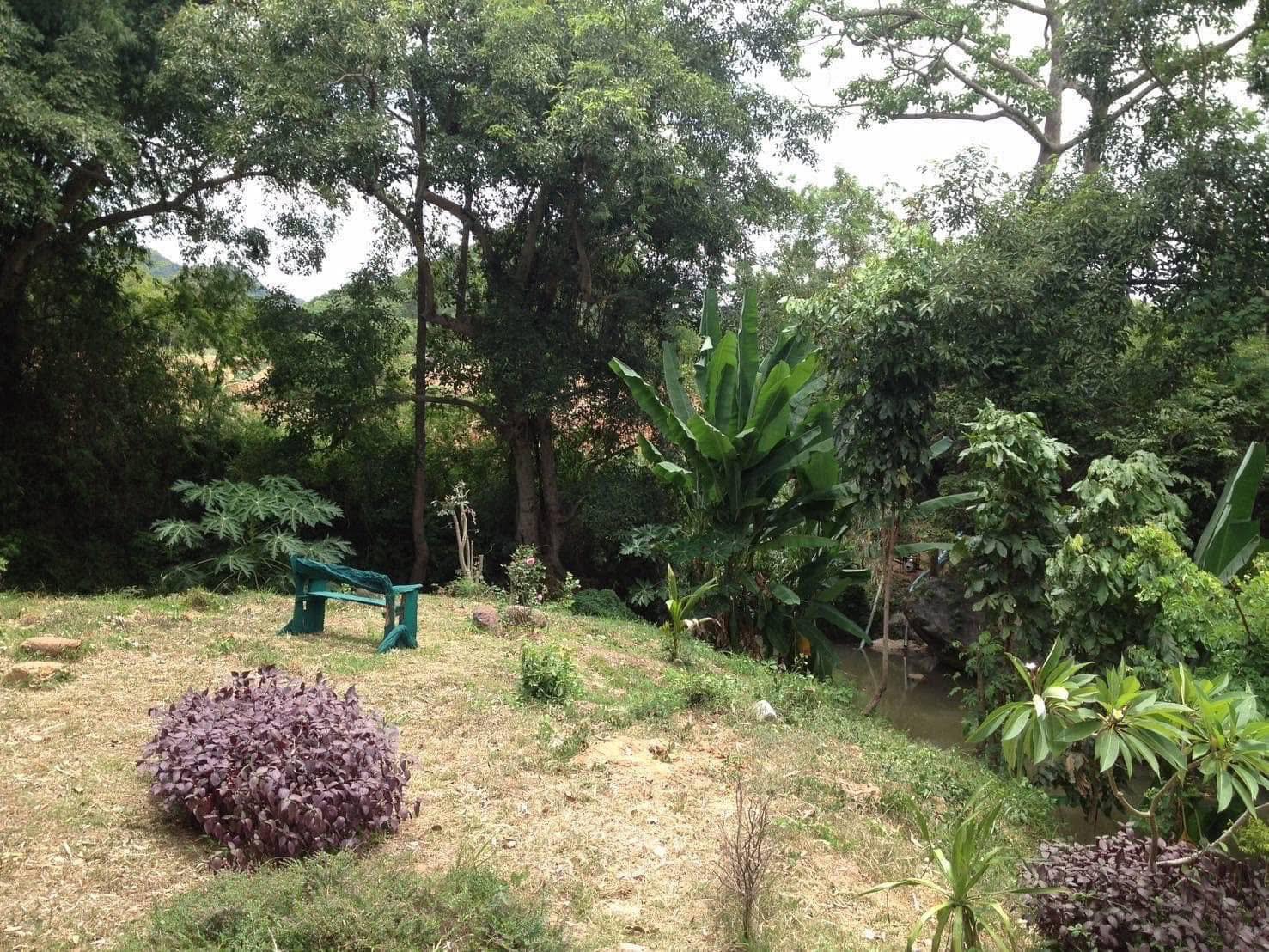Land for Sale in Khao Yai, Pak Chong, Mu Si,