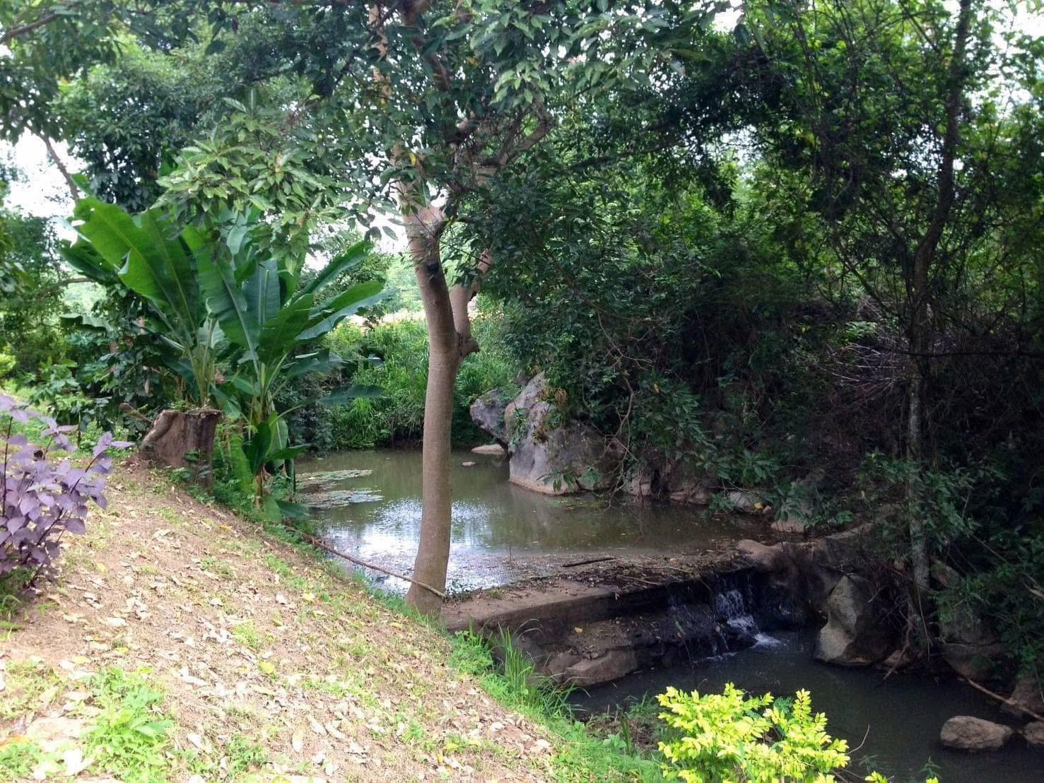 Land for Sale in Khao Yai, Pak Chong, Mu Si,