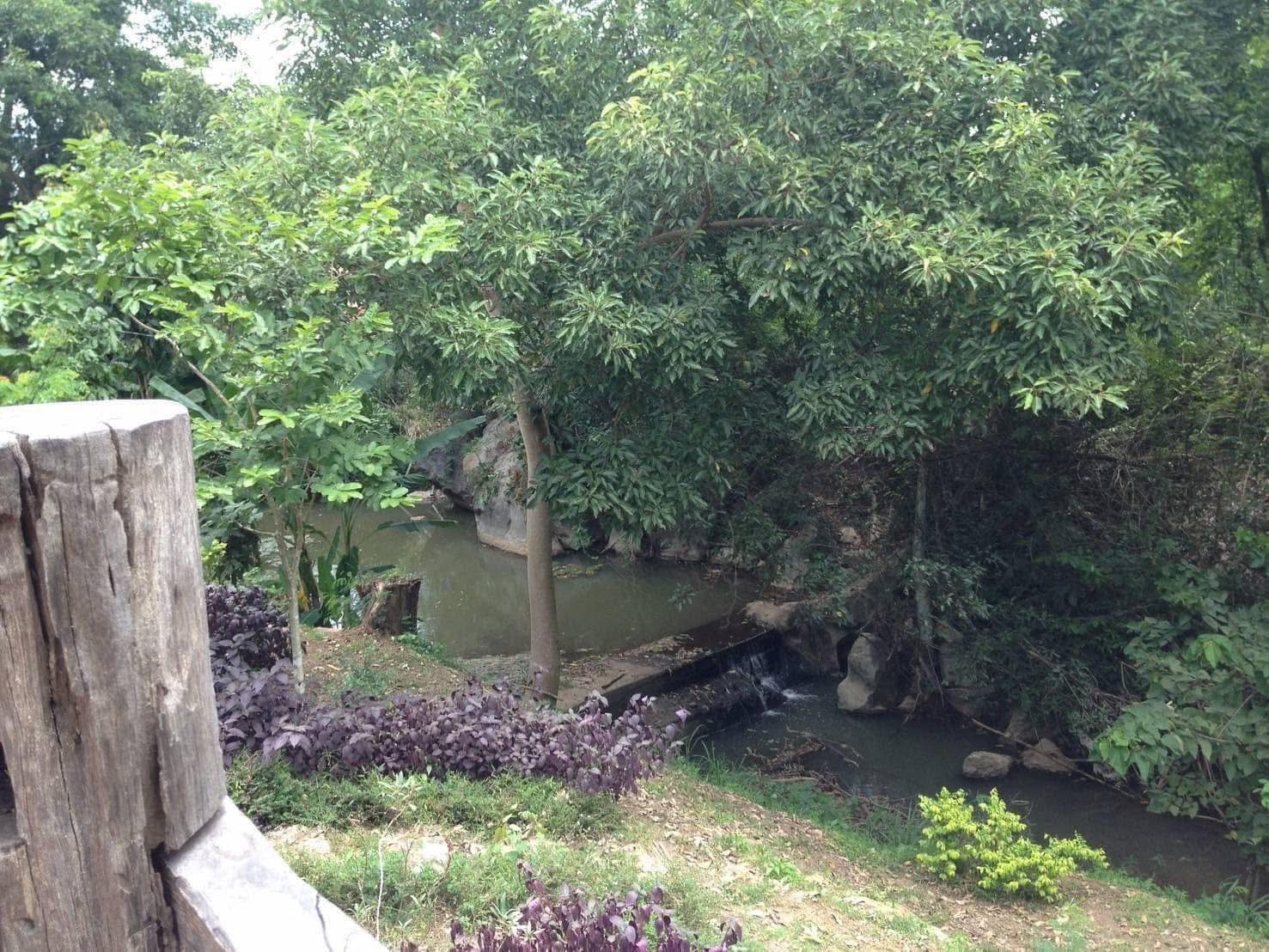 Land for Sale in Khao Yai, Pak Chong, Mu Si,