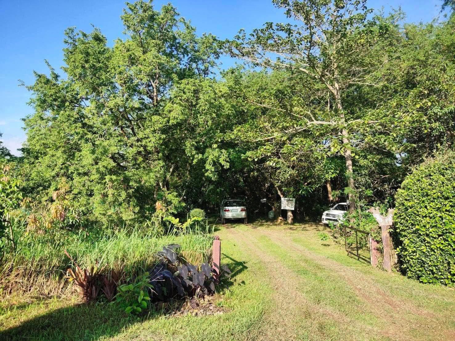Land for Sale in Khao Yai, Pak Chong, Mu Si,