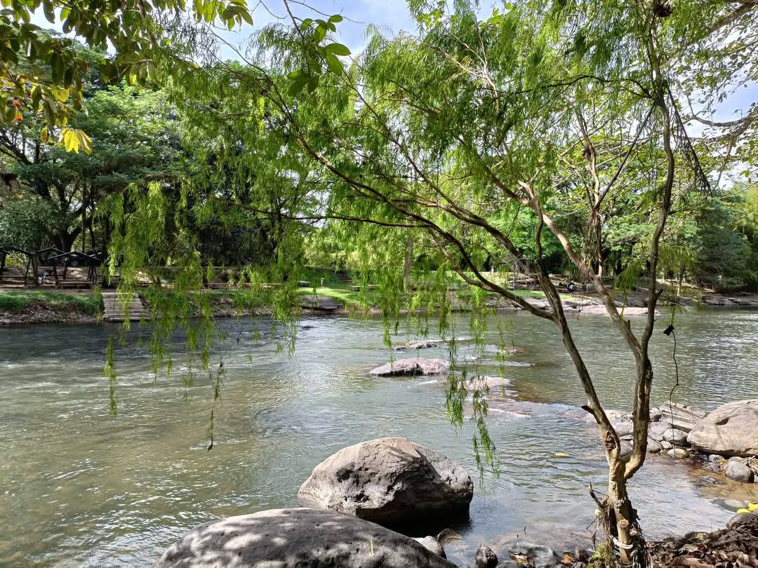 Land for Sale in Khao Yai, Pak Chong, Mu Si,
